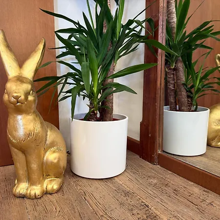 Iride - Wellness & Relax Casa vacanze *